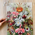 Jigsaw Puzzle