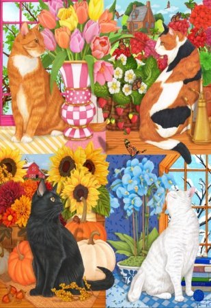 Jigsaw Puzzle
