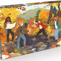 Jigsaw Puzzle