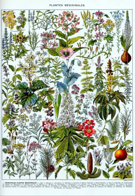 Jigsaw Puzzle