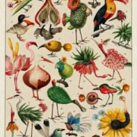 Jigsaw Puzzle