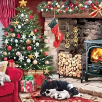 Jigsaw Puzzle