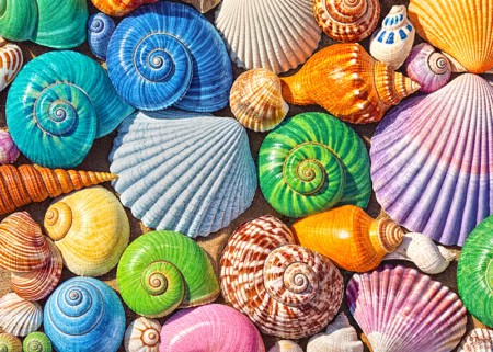 Ocean's Little Jewels 500 piece jigsaw puzzle 40 Jigsaw Puzzle